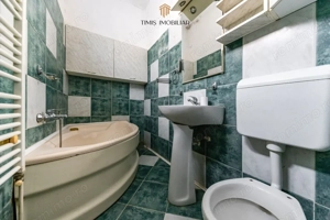 100 de ani de istorie, 944 mp - Strada Gelu, Timisoara  - imagine 11