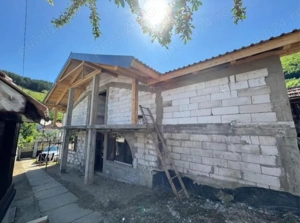 Gospodărie de vânzare (2 case)