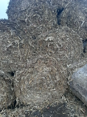 vand baloti de tulei