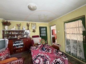 Casa Batraneasca la 8 km de Topoloveni - imagine 13