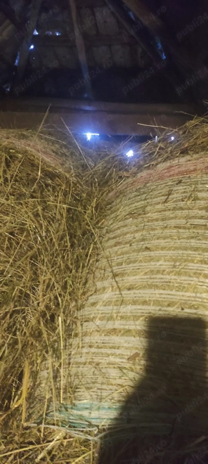 vand baloti fan - imagine 2