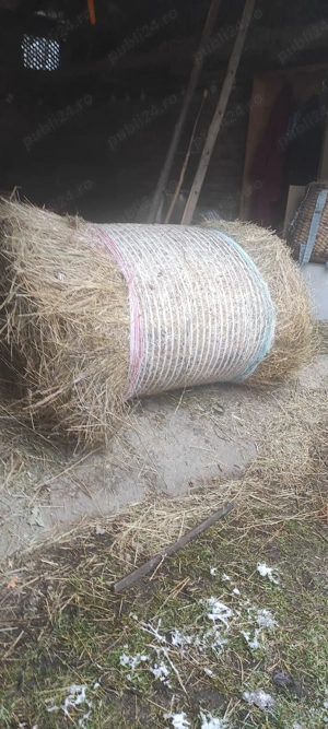 vand baloti fan - imagine 3