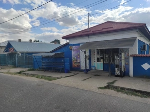 Vanzare casa - magazin - Licuriciu, Calinesti - Teleorman - teren 1400mp