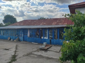 Vanzare casa - magazin - Licuriciu, Calinesti - Teleorman - teren 1400mp - imagine 8