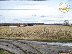 Film! Teren de 5.800 mp, Dobolii de Jos, Covasna - imagine 2