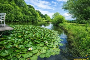 Rafinament in cartier linistit, pe 30.000 mp teren paradis, facilitati Premium