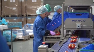 Loc de muncă Germania urgent calificați și necalificați!!!