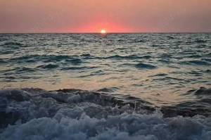 Cazare Beach Please 2026 - imagine 3