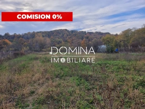 Vanzare teren intravilan, 4967  mp, utilitati, sat Rasova, Balesti.