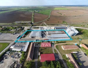 SPATIU INDUSTRIAL cu 3 hale si depozite acoperite - imagine 6