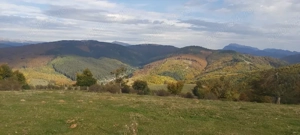 Teren 10.000 mp- Zonă Montană Sălbatică (Valea Mare Pravăț-AG) , Panoramă Iezer-Păpușa - imagine 2