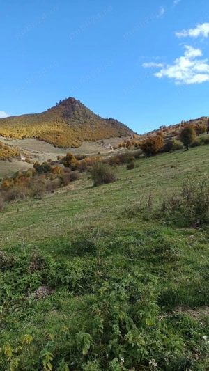 Teren 10.000 mp- Zonă Montană Sălbatică (Valea Mare Pravăț-AG) , Panoramă Iezer-Păpușa - imagine 8