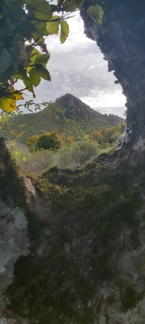 Teren 10.000 mp- Zonă Montană Sălbatică (Valea Mare Pravăț-AG) , Panoramă Iezer-Păpușa - imagine 5