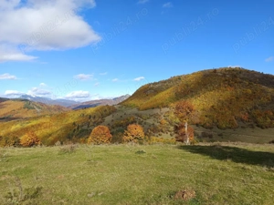 Teren 10.000 mp- Zonă Montană Sălbatică (Valea Mare Pravăț-AG) , Panoramă Iezer-Păpușa - imagine 4