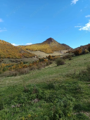 Teren 10.000 mp- Zonă Montană Sălbatică (Valea Mare Pravăț-AG) , Panoramă Iezer-Păpușa - imagine 6