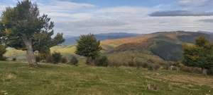 Teren 10.000 mp- Zonă Montană Sălbatică (Valea Mare Pravăț-AG) , Panoramă Iezer-Păpușa - imagine 3