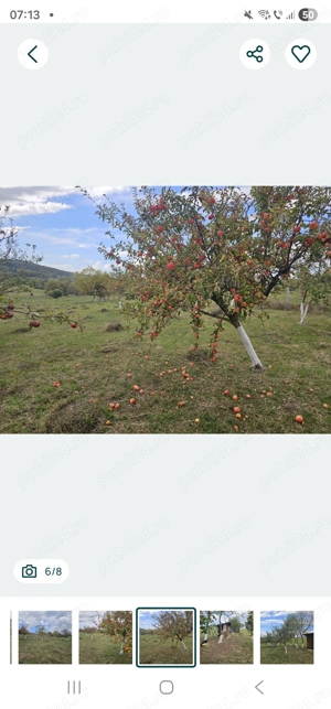 Teren jud.Cluj  - imagine 4