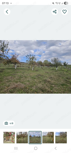 Teren jud.Cluj  - imagine 5