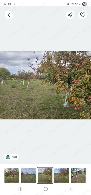 Teren jud.Cluj  - imagine 2