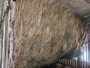 Vând fân nebalotat! - imagine 3