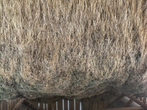 Vând fân nebalotat! - imagine 2