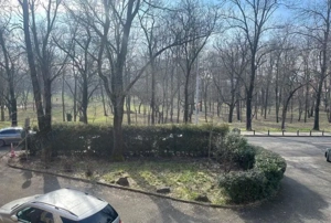 Vila 7 camere zona Floreasca  - imagine 6