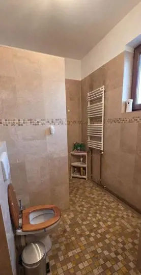 Vila 5 camere zona Alba Iulia centrala si linistita - imagine 13