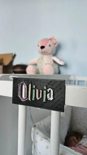 Plăcuță personalizată cu nume (copil   pet)