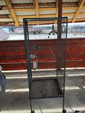 Cușcă pentru păsări peruș papagali...