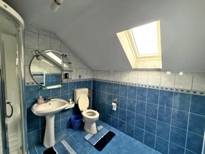 Casa 330 mp cu teren 2300 mp in Santandrei, langa Oradea - imagine 20