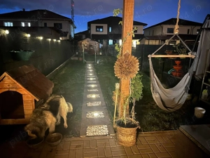 Casa insiruita de vanzare, zona Calea Urseni, Timisoara - imagine 8