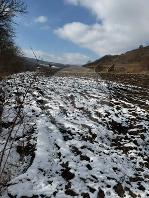 Teren Intravilan,Sanmartin CJ - imagine 4