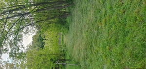 Teren intravilan 2000 mp Valea Avrigului - ideal casă de vacanță - imagine 7