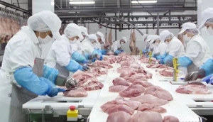 CARNIPROD S.R.L angajeaza muncitori necalificati la ambalarea produselor solide si semisolide