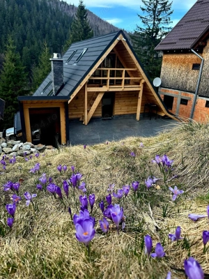 Cabană, stațiunea Râușor, Hunedoara - imagine 4