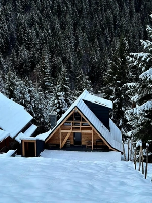 Cabană, stațiunea Râușor, Hunedoara - imagine 2