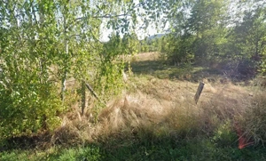 Teren intravilan 990 mp la munte, Rasca  Apuseni   Cluj, cabana   investitie