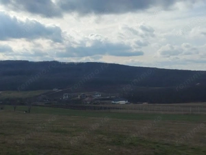 Teren intravilan in Betfia langa crater - imagine 5