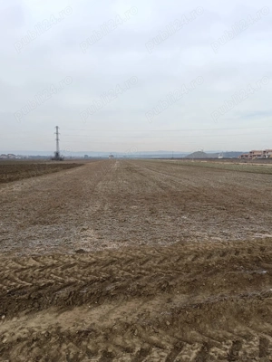 Teren de vânzare   4800 mp   zona Maracineni, Buzau - imagine 5
