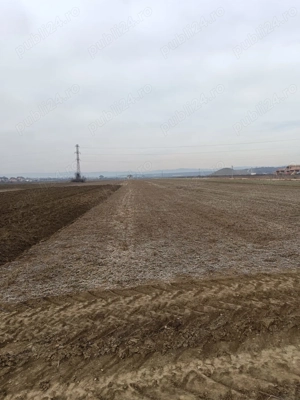 Teren de vânzare   4800 mp   zona Maracineni, Buzau - imagine 3