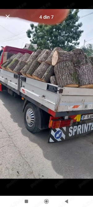 vand lemne de foc fag carpen stejar 