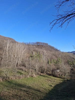 Vand teren Chirlesti,Nehoiu,Buzau - imagine 6