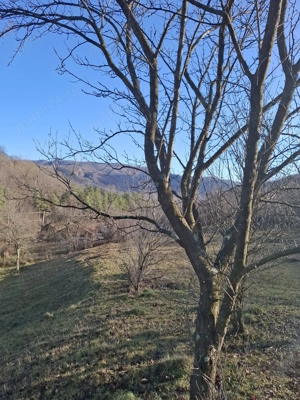 Vand teren Chirlesti,Nehoiu,Buzau - imagine 7