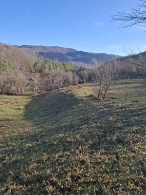 Vand teren Chirlesti,Nehoiu,Buzau - imagine 8