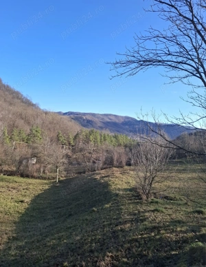 Vand teren Chirlesti,Nehoiu,Buzau - imagine 5