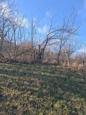 Vand teren Chirlesti,Nehoiu,Buzau - imagine 10