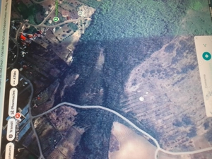 Teren de la bunici: cadou pentru majorat, bacalaureat sau licenta. Locatia: in comuna Comarna, Iasi - imagine 4