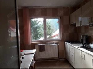 Casa de vanzare Albac, jud Alba - imagine 5