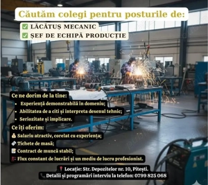 Șef de echipă   producție