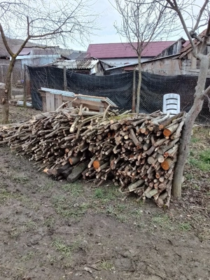 vand 3.5 metri steri de lemne 